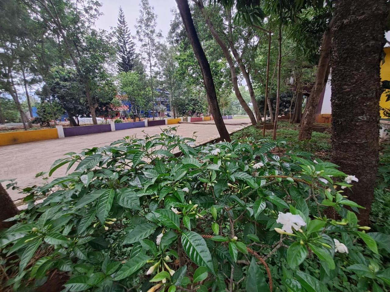 אראקו Ushodaya Resorts מראה חיצוני תמונה
